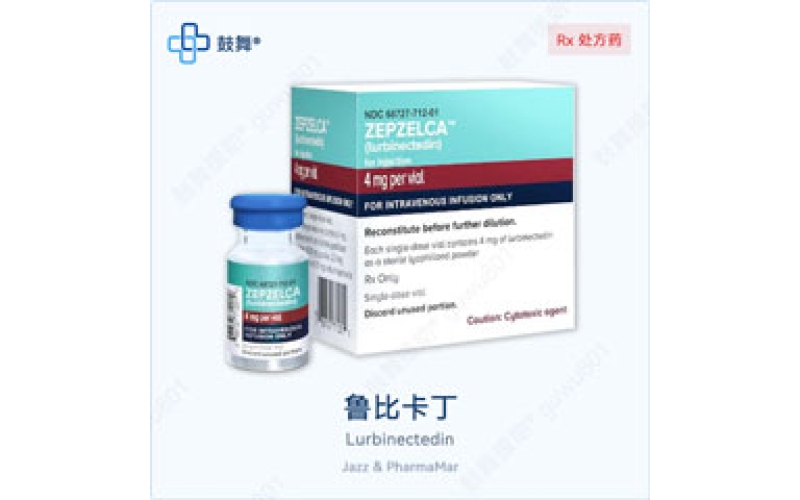 鲁比卡丁（Zepzelca）版本规格 - 原研Zepzelca一览