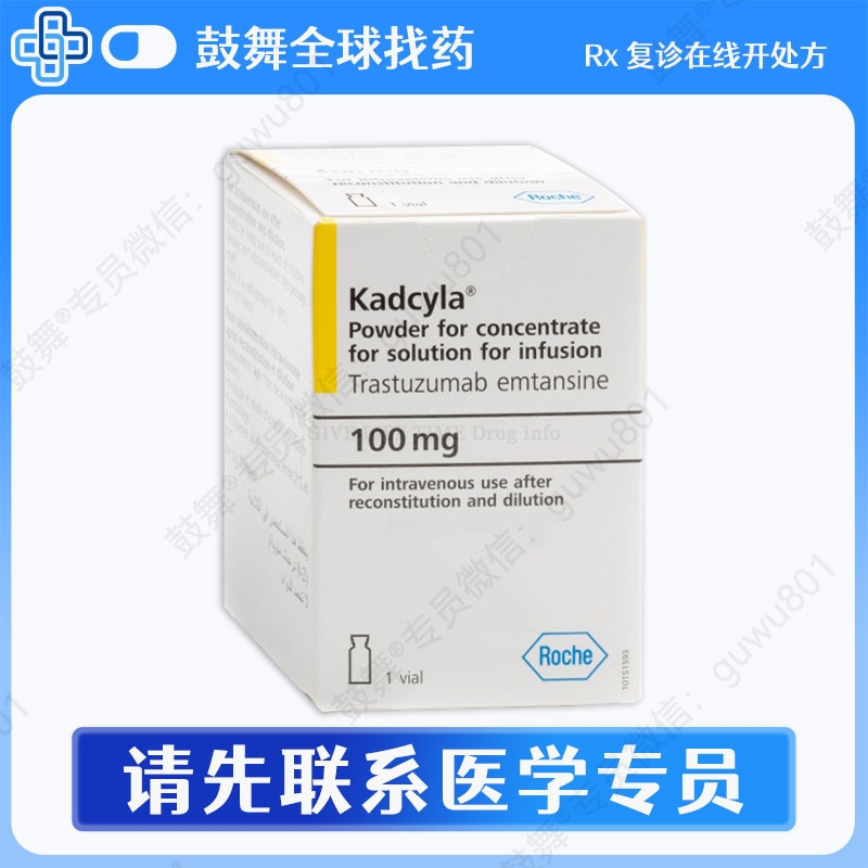 恩美曲妥珠单抗T-DM1（赫赛莱 Kadcyla）100mg