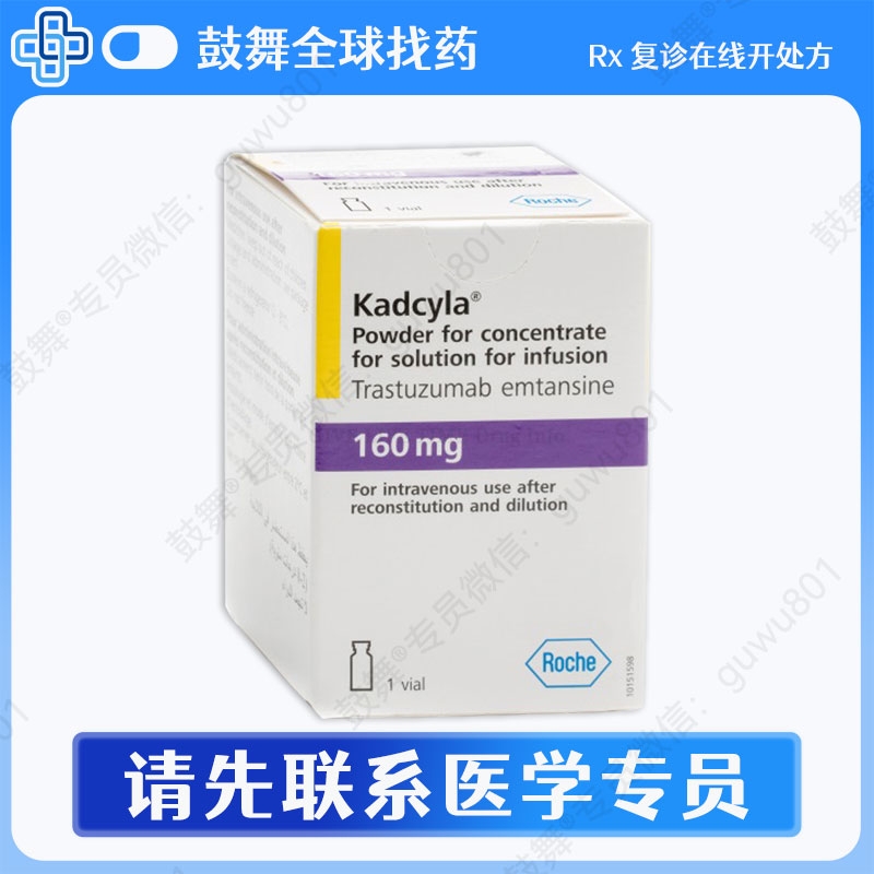 恩美曲妥珠单抗T-DM1（赫赛莱 Kadcyla）160mg