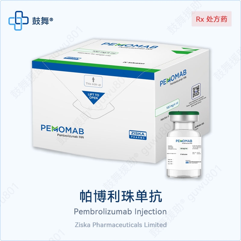 【全球服务】帕博利珠单抗Pembrolizumab（Pemomab）K药 100mg/4mL