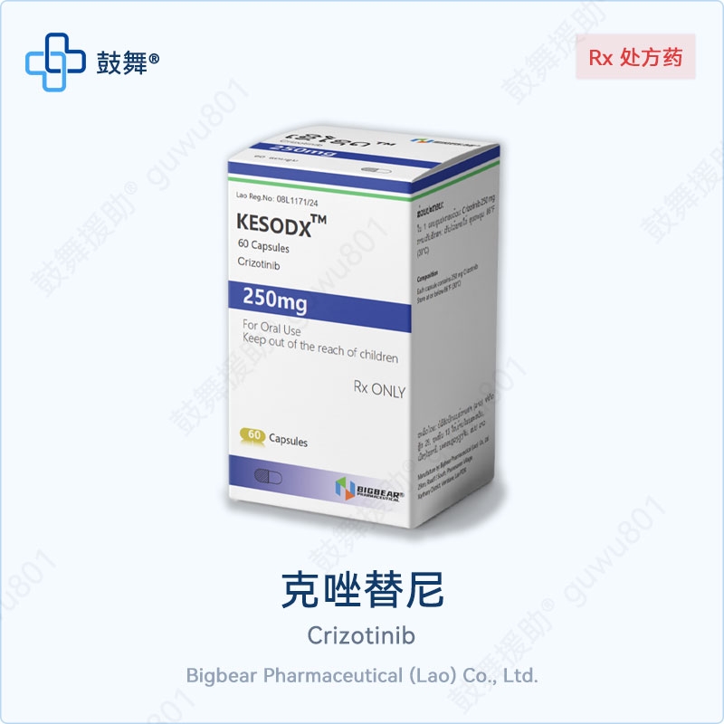 克唑替尼Crizotinib（KESODX）250mg-60粒